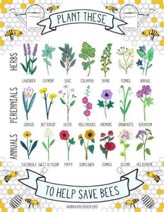 It is almost spring! It is time to plan to save our pollinators