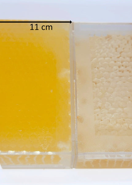 Honeycomb