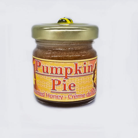 Pumpkin Pie Creamed Honey - 50g